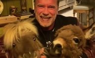 Arnold Schwarzenegger a další hvězdy vysílají k fandům povzbuzující zdravice | Fandíme filmu