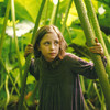 Tajná zahrada: Trailer představuje okouzlující novinku od tvůrců Harryho Pottera a Paddingtona | Fandíme filmu