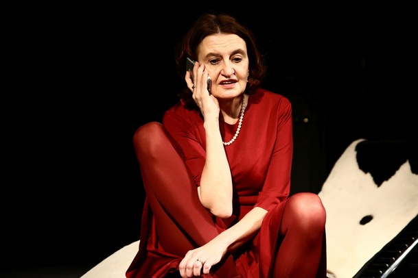 Hvězda: One Woman Show Evy Holubové je nejsledovanějším přenosem ČT art | Fandíme serialům