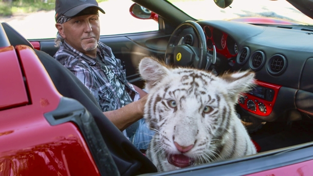 Tiger King: Tvůrci kočičího hitu chystají nové epizody | Fandíme serialům