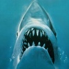 Moose Jaws: Chystaný film od Kevina Smithe nabídne Čelisti... s losem místo žraloka | Fandíme filmu