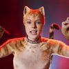 Cats: Fanoušci vrátili do filmu kočičí zadky, podle trikařů byly přípravy otročina | Fandíme filmu