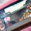 Bad Trip: Na Netflix míří šílenost ve stylu Jackass | Fandíme filmu