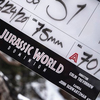 Jurský svět 3: Natáčecí pauza filmu prospěla, budeme prý hodně vřískat | Fandíme filmu