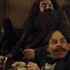 Harry Potter: Proč profesor Flitwick ve třetím filmu vypadal tak jinak | Fandíme filmu