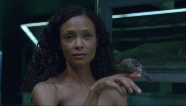 Temná strana Hollywoodu, aneb herečka Thandie Newton se podělila o své zážitky | Fandíme filmu