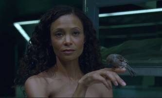 Temná strana Hollywoodu, aneb herečka Thandie Newton se podělila o své zážitky | Fandíme filmu