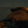 Killroy Was Here: Kdo ubližuje dětem, měl by se připravit na krvavou odplatu | Fandíme filmu