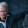 Fantastická zvířata: Johnny Depp se vzdal role hlavního padoucha | Fandíme filmu