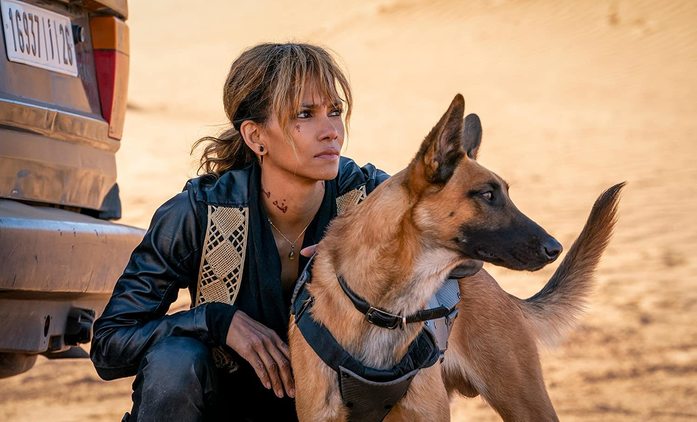 John Wick: Sofie v podání Halle Berry může dostat vlastní film | Fandíme filmu