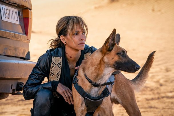 John Wick: Sofie v podání Halle Berry může dostat vlastní film | Fandíme filmu