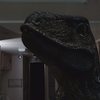 Claw: Velociraptor nahání vyděšené oběti v novém hororu | Fandíme filmu