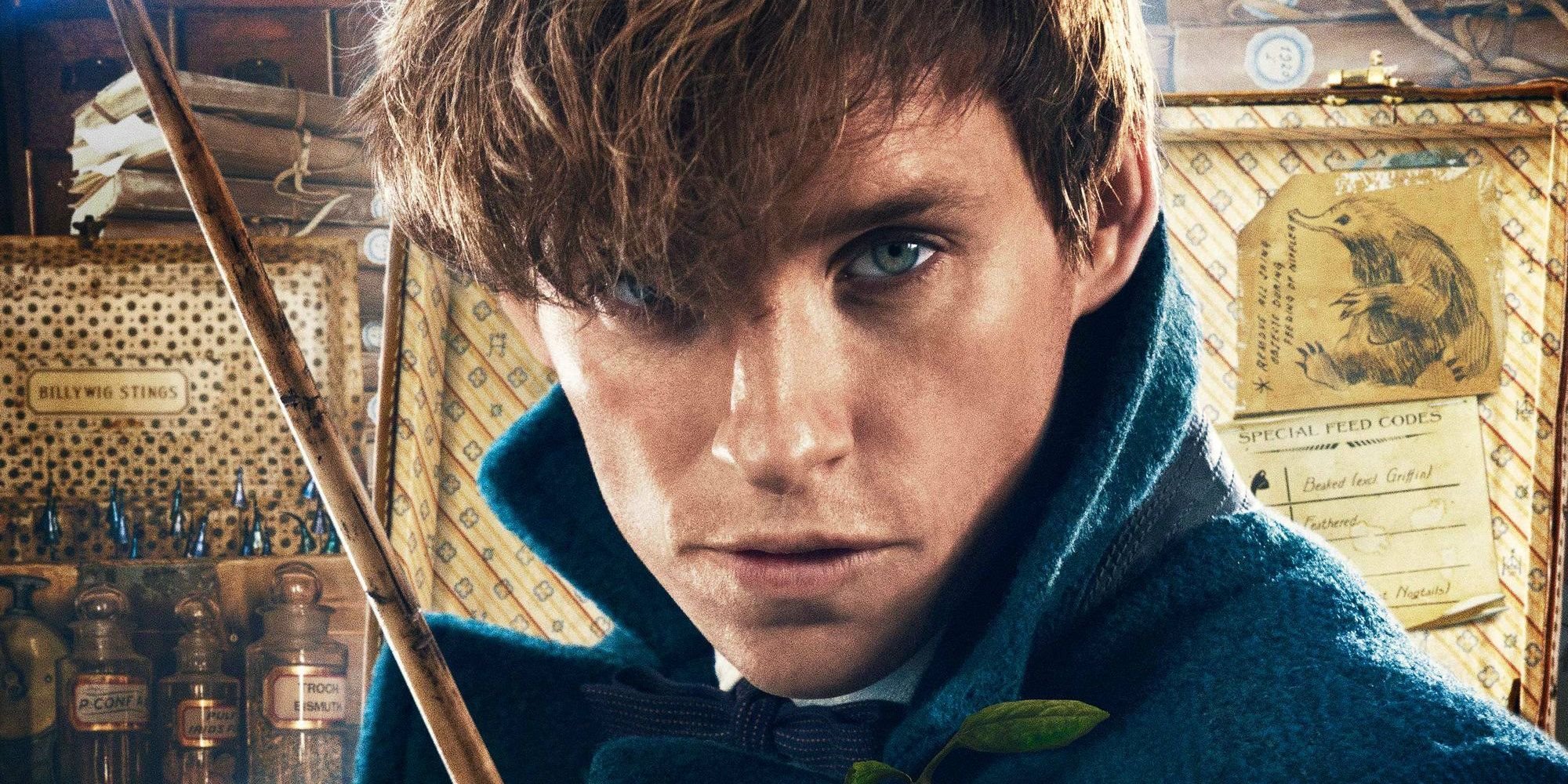 Fantastická zvířata 3: Mlok Scamander potvrdil start natáčení | Fandíme filmu