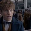 Fantastická zvířata 3: Mlok Scamander potvrdil start natáčení | Fandíme filmu