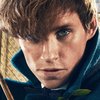 Fantastická zvířata 3: Mlok Scamander potvrdil start natáčení | Fandíme filmu