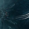 Mad Spider Sea: Odporný mořský pavouk se v novém traileru předvádí v plné "kráse" | Fandíme filmu