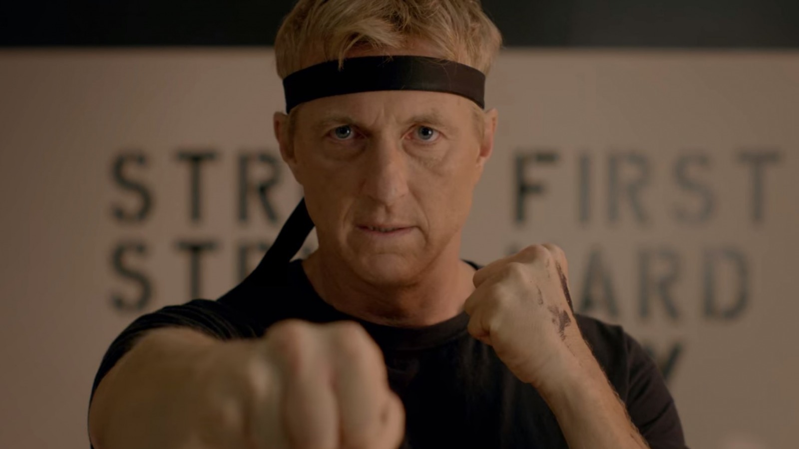 Cobra Kai: Pokračování Karate Kida na Netflixu nabralo fanoušky, bude další řada | Fandíme filmu