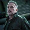 Vetřelec: James Cameron chtěl dát dohromady Sigourney Weaver a Arnolda Schwarzeneggera | Fandíme filmu