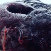 Big Freaking Rat: Obrovská zmutovaná krysa masakruje výletníky | Fandíme filmu