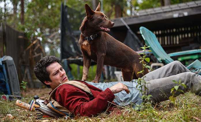 Láska a příšery: Netflix nabídne postapokalypticou sci-fi s oscarovou nominací | Fandíme filmu