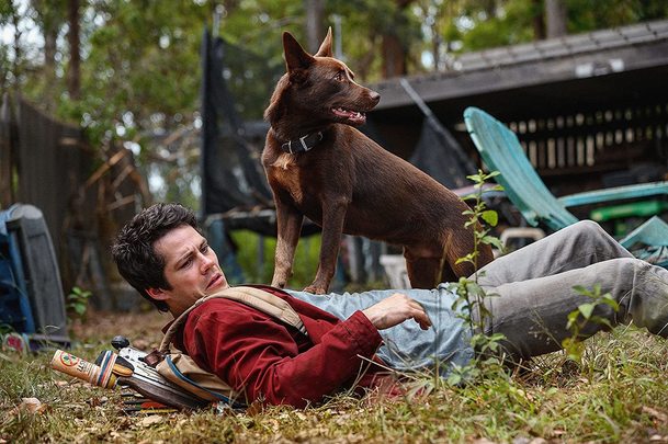 Láska a příšery: Netflix nabídne postapokalypticou sci-fi s oscarovou nominací | Fandíme filmu