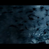 Arachnado: Po žralocích budou tornády létat pavouci | Fandíme filmu