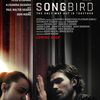 Songbird: V katastrofickém filmu COVID zmutoval a přinesl apokalypsu - je tu trailer | Fandíme filmu