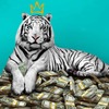 The White Tiger: Ponižovaný sluha násilně povstane proti systému | Fandíme filmu