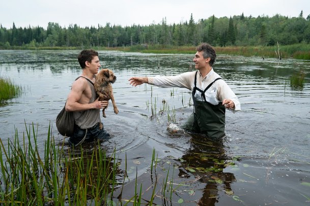 Chaos Walking: Spider-Man a Rey bojují v dystopické budoucnosti o přežití | Fandíme filmu