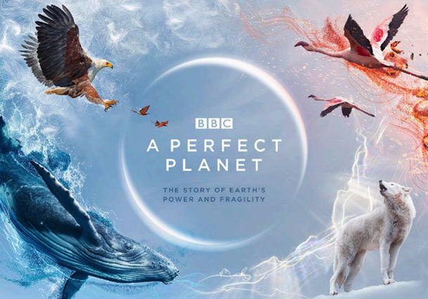 A Perfect Planet: Legendání David Attenborough představuje další dokument | Fandíme serialům