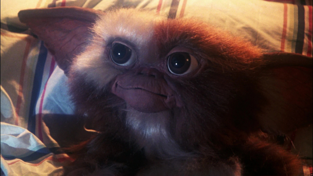 Gremlins 3: Pokračování by mělo být temné a zvrhlé | Fandíme filmu