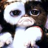 Gremlins: Původní autor chystá návrat oblíbených příšerek | Fandíme filmu