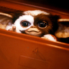 Gremlins: Původní autor chystá návrat oblíbených příšerek | Fandíme filmu