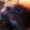 Gremlins: Původní autor chystá návrat oblíbených příšerek | Fandíme filmu