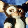 Gremlins: Původní autor chystá návrat oblíbených příšerek | Fandíme filmu