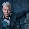 Fantastická zvířata: Mads Mikkelsen je oficiálně nový Grindelwald | Fandíme filmu