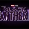 Black Panther: Marvel potvrdil, že zesnulý Boseman nebude přeobsazen | Fandíme filmu