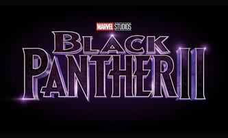 Black Panther: Marvel potvrdil, že zesnulý Boseman nebude přeobsazen | Fandíme filmu