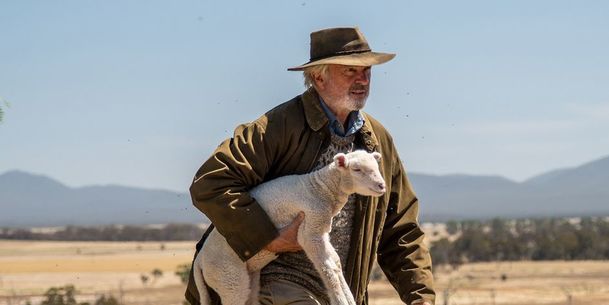 Rams: Před návratem k dinosaurům bude Sam Neill chovat berany | Fandíme filmu