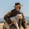 Rams: Před návratem k dinosaurům bude Sam Neill chovat berany | Fandíme filmu