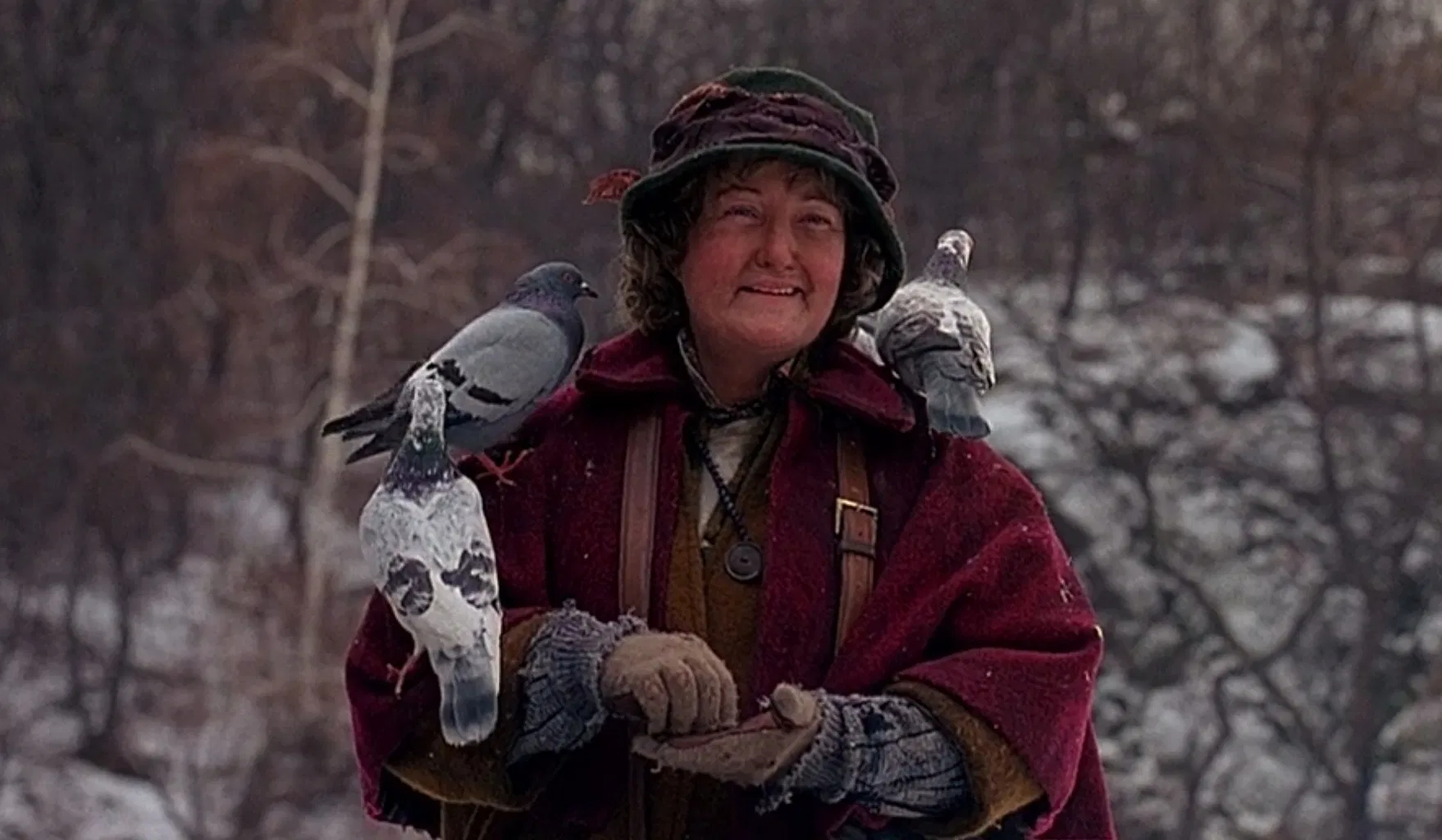 Sám doma 2: Ironií osudu holubí dáma strávila neradostné svátky v osamění | Fandíme filmu