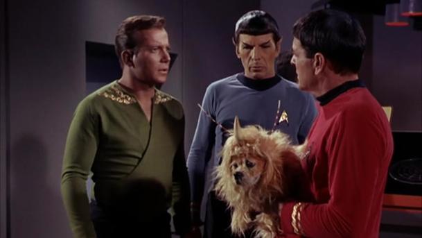 Star Trek už dosáhl neuvěřitelných 800 epizod a filmů | Fandíme serialům