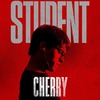 Cherry: První upoutávka představuje příběh zničeného vojáka Toma Hollanda | Fandíme filmu