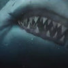 Death Shark: Čas krmení aneb zmutovaný žralok rozsévá smrt | Fandíme filmu