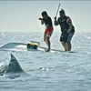 Death Shark: Čas krmení aneb zmutovaný žralok rozsévá smrt | Fandíme filmu