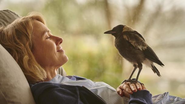 Penguin Bloom: Ochrnuté ženě pomůže najít chuť do života zraněné ptáče | Fandíme filmu