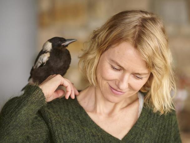 Penguin Bloom: Ochrnuté ženě pomůže najít chuť do života zraněné ptáče | Fandíme filmu