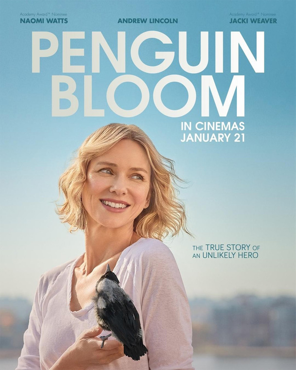 Penguin Bloom: Ochrnuté ženě pomůže najít chuť do života zraněné ptáče | Fandíme filmu