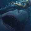 Great White: Po havárii letadla bojuje skupinka přeživších s krvelačným žralokem | Fandíme filmu