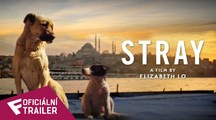 Stray - Oficiální trailer | Fandíme filmu